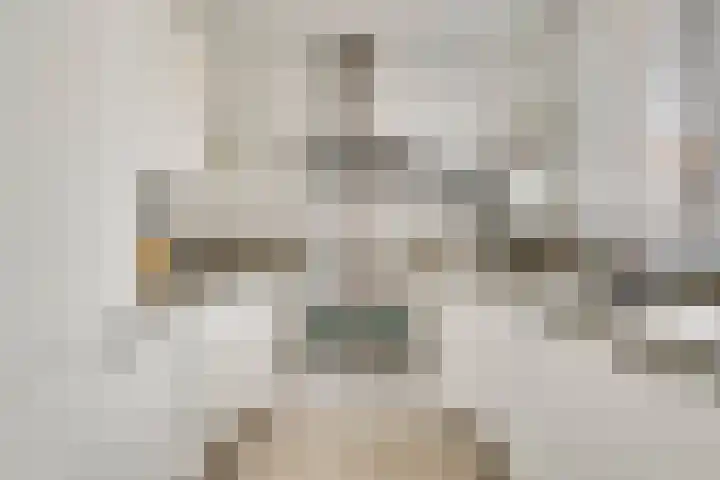 Willem de Rijkelaan 40 Eindhoven thumbnail 5