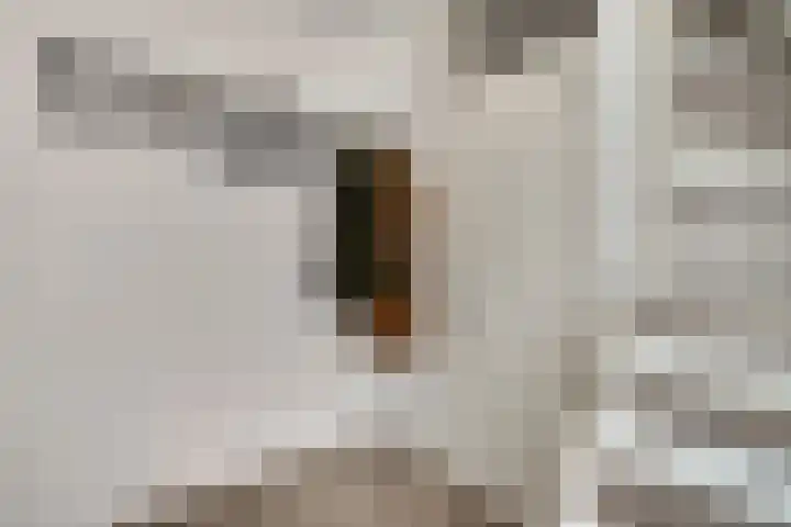 Willem de Rijkelaan 40 Eindhoven thumbnail 9