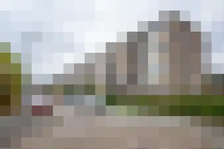 Willem de Rijkelaan 44 Waddinxveen
