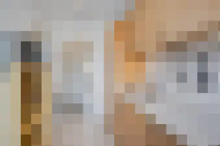 Willem de Rijkelaan 44 Waddinxveen thumbnail 14