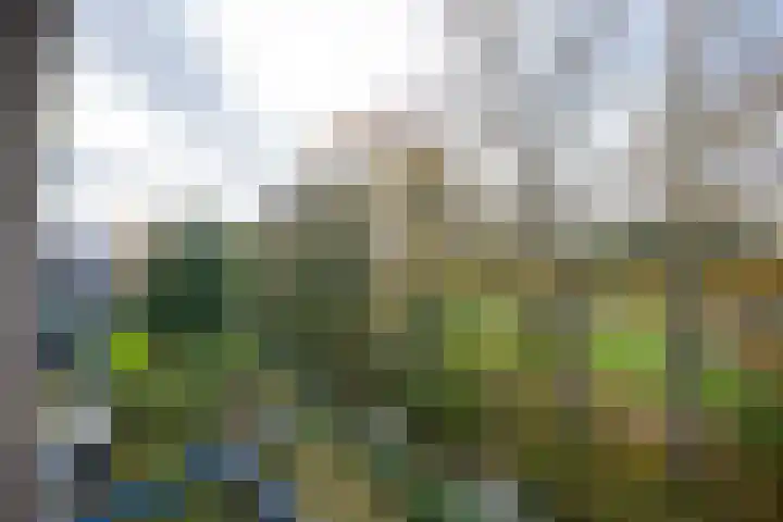 Willem de Rijkelaan 44 Waddinxveen thumbnail 22