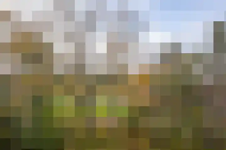 Willem de Rijkelaan 44 Waddinxveen thumbnail 24