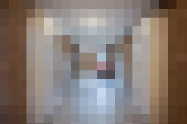 Willem de Rijkelaan 44 Waddinxveen thumbnail 27