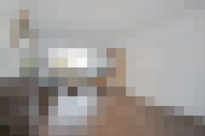 Willem de Rijkelaan 44 Waddinxveen thumbnail 5