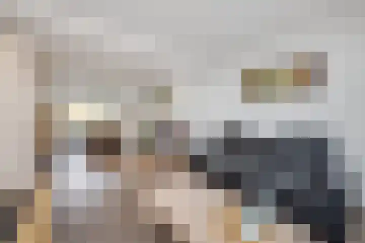 Willem de Rijkelaan 44 Waddinxveen thumbnail 9