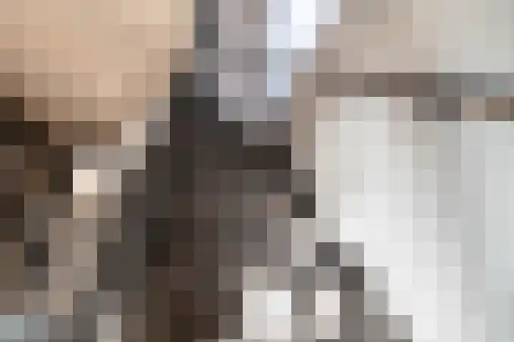 Willem de Rijkelaan 50 Waddinxveen thumbnail 18