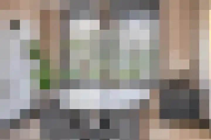 Willem de Rijkelaan 50 Waddinxveen thumbnail 27