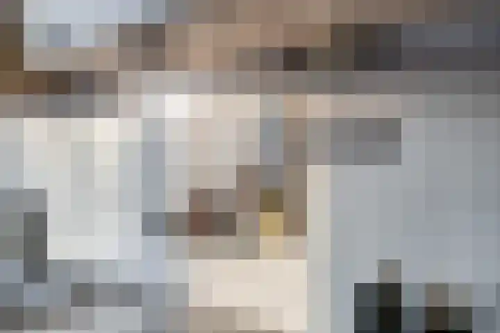Willem de Rijkelaan 50 Waddinxveen thumbnail 30