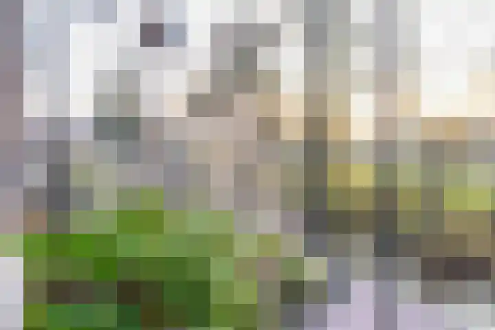 Willem de Rijkelaan 50 Waddinxveen thumbnail 34