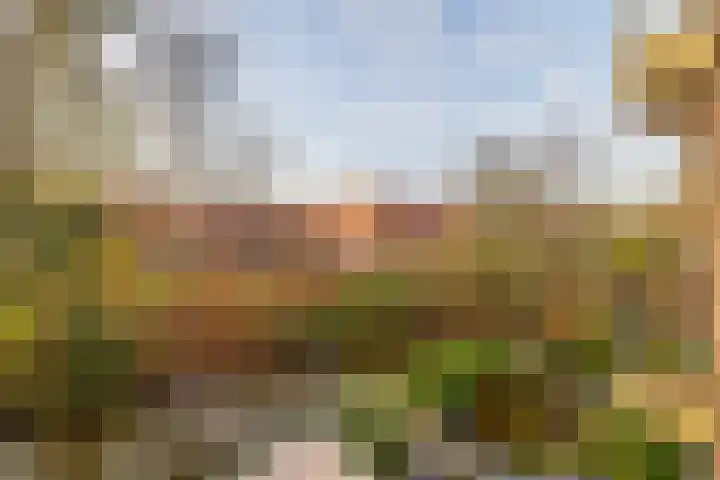Willem de Rijkelaan 50 Waddinxveen thumbnail 35