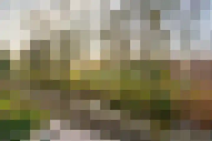 Willem de Rijkelaan 50 Waddinxveen thumbnail 36