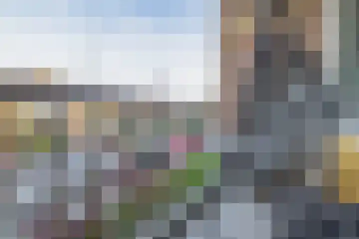 Willem de Rijkelaan 50 Waddinxveen thumbnail 42