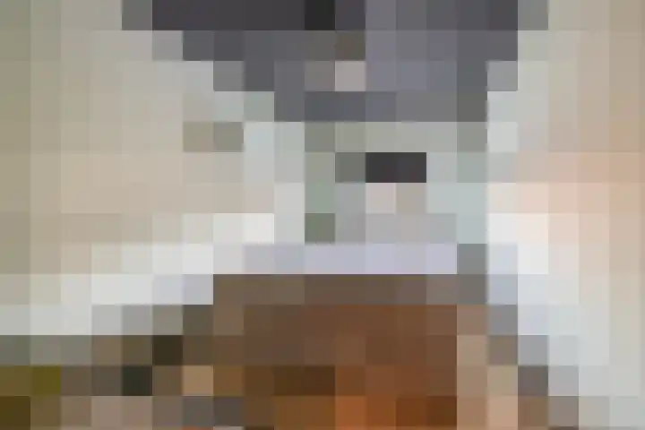 Willem de Rijkelaan 50 Waddinxveen thumbnail 44
