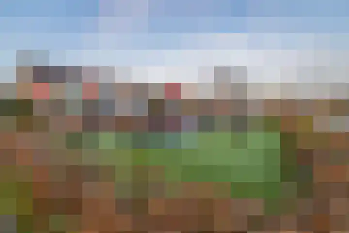 Willem de Rijkelaan 50 Waddinxveen thumbnail 46