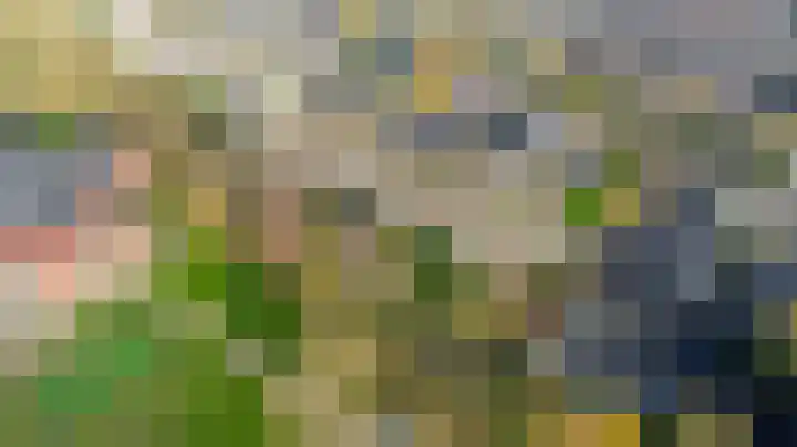 Willem de Rijkelaan 50 Waddinxveen thumbnail 48