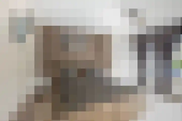 Willem de Rijkelaan 62 Waddinxveen thumbnail 17