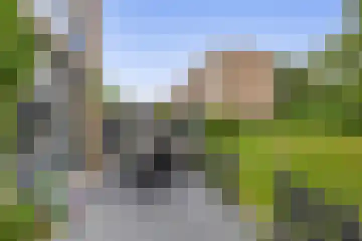 Willem de Rijkelaan 62 Waddinxveen thumbnail 21