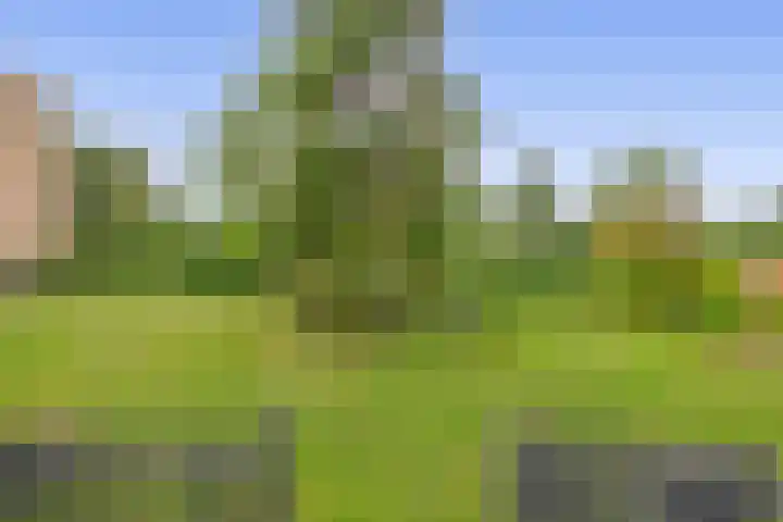 Willem de Rijkelaan 62 Waddinxveen thumbnail 24