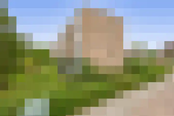 Willem de Rijkelaan 62 Waddinxveen thumbnail 28