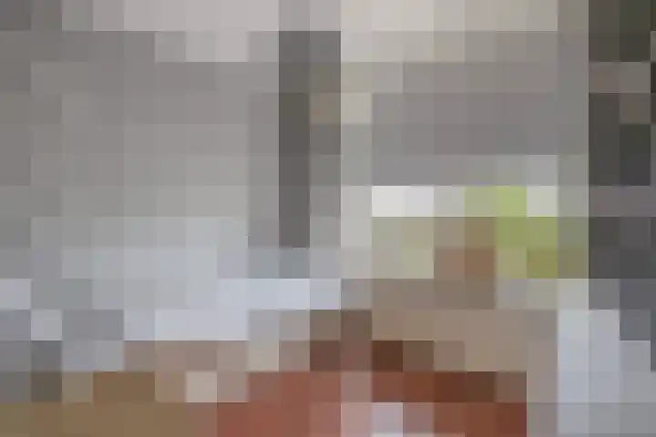 Willem de Rijkelaan 62 Waddinxveen thumbnail 8