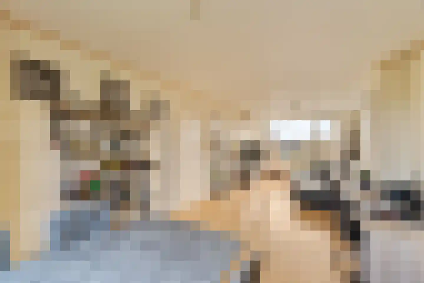 Willem de Rijkelaan 64 Waddinxveen thumbnail 12