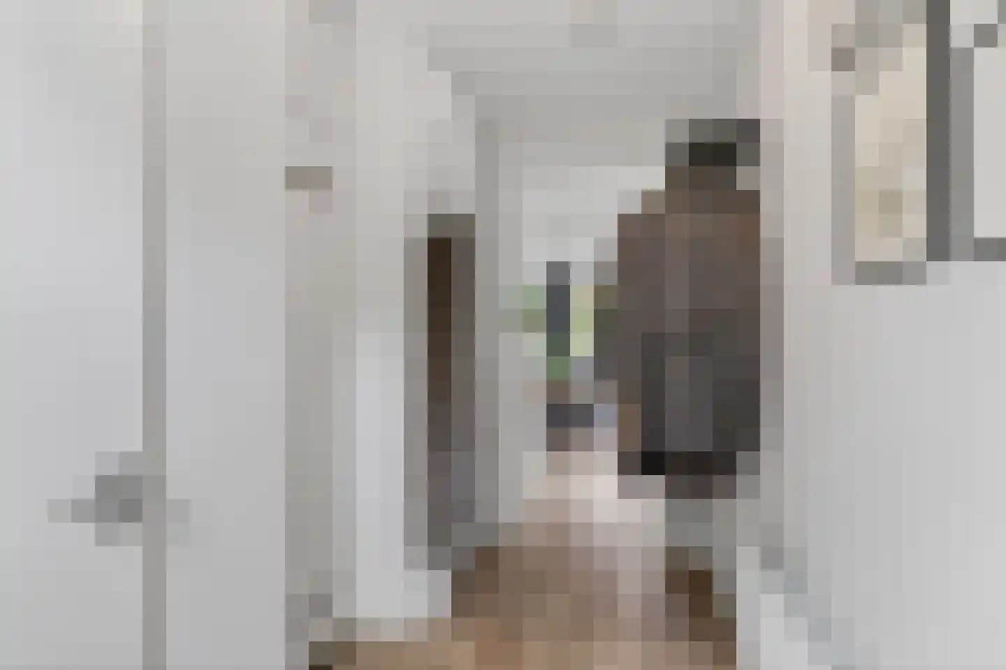 Willem de Rijkelaan 67 Vught thumbnail 24