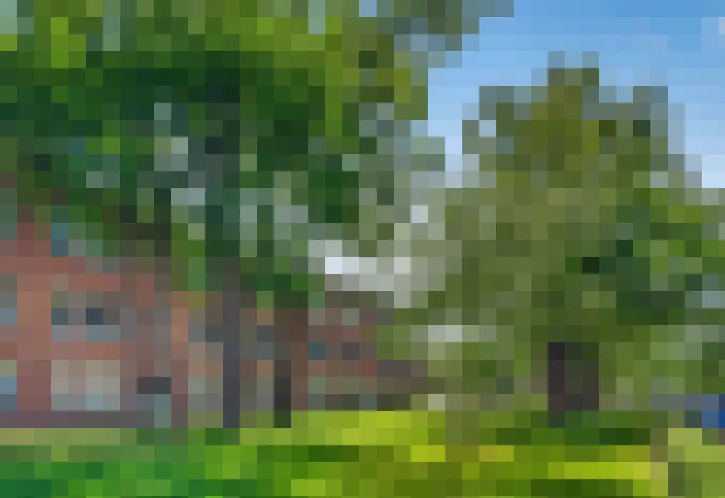 Willem de Rijkelaan 67 Vught thumbnail 45
