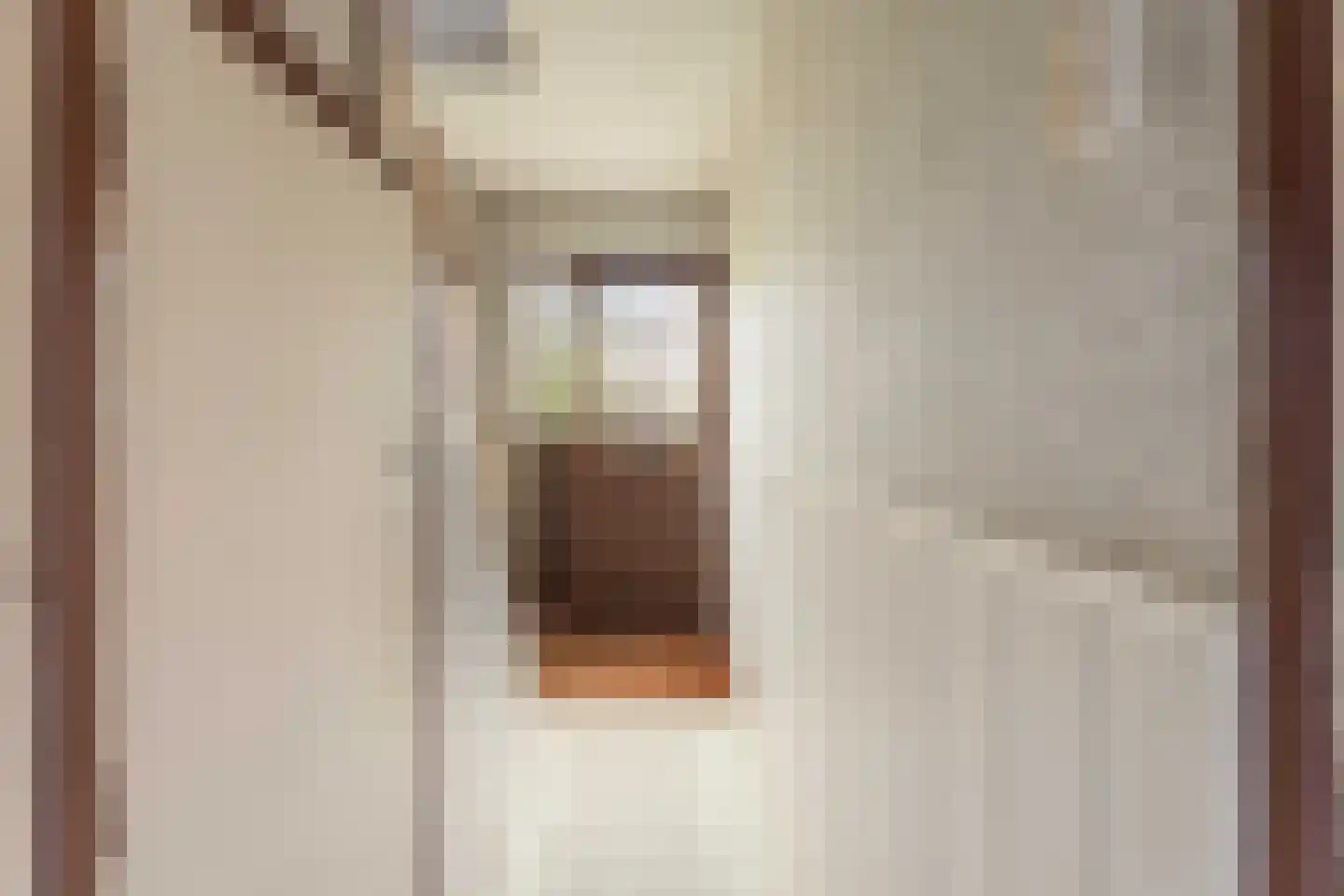 Willem de Rijkelaan 70 Hillegom thumbnail 12