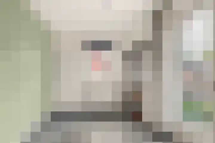 Willem de Rijkelaan 8 Castricum thumbnail 101