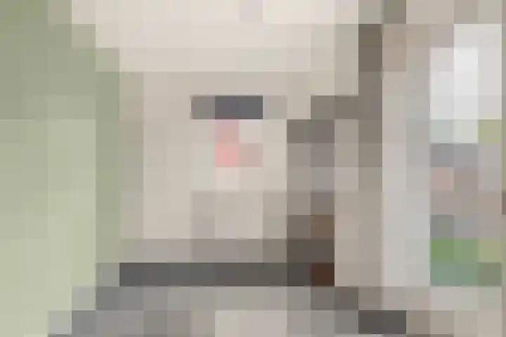 Willem de Rijkelaan 8 Castricum thumbnail 103