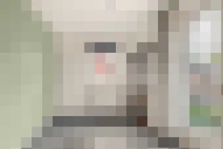 Willem de Rijkelaan 8 Castricum thumbnail 104