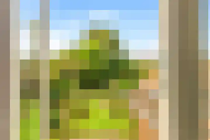 Willem de Rijkelaan 8 Castricum thumbnail 105