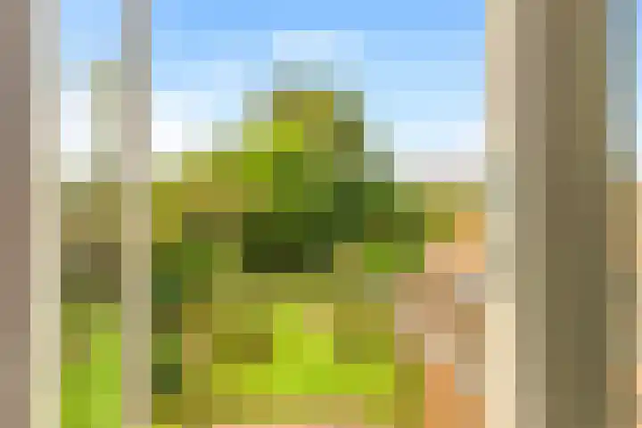 Willem de Rijkelaan 8 Castricum thumbnail 106