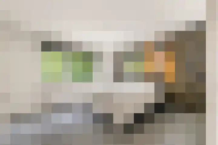 Willem de Rijkelaan 8 Castricum thumbnail 112