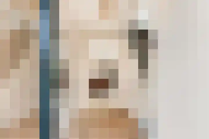 Willem de Rijkelaan 8 Castricum thumbnail 12