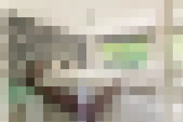 Willem de Rijkelaan 8 Castricum thumbnail 125