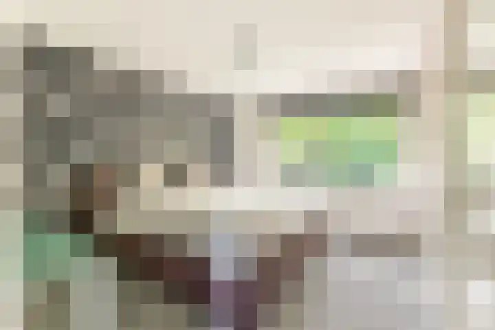 Willem de Rijkelaan 8 Castricum thumbnail 127