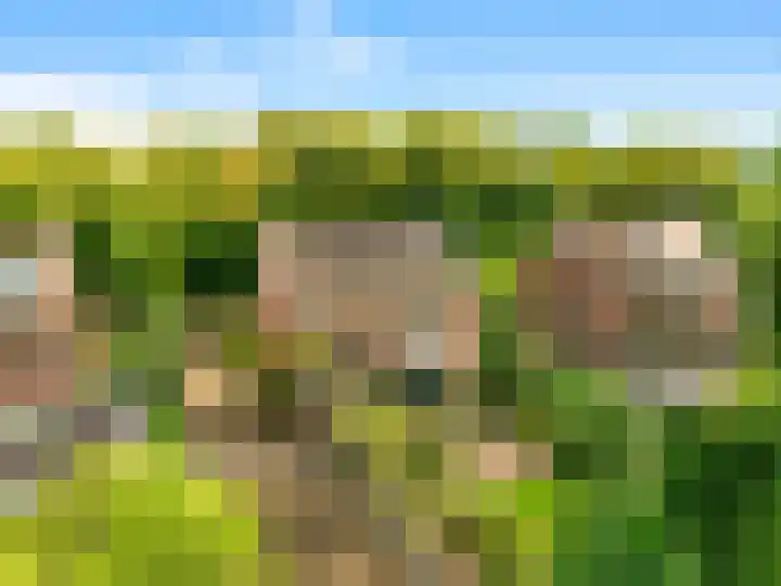 Willem de Rijkelaan 8 Castricum thumbnail 146