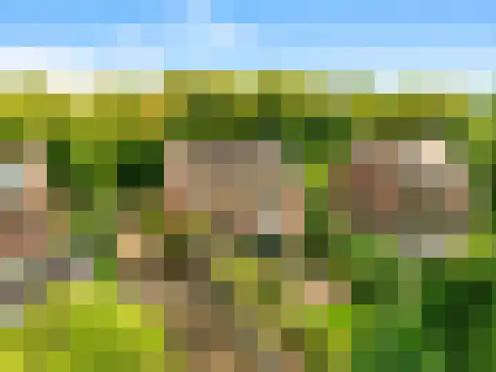 Willem de Rijkelaan 8 Castricum thumbnail 148