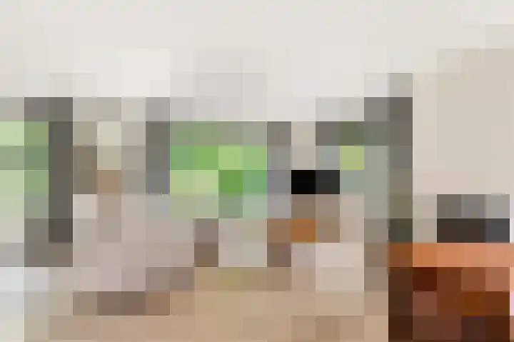 Willem de Rijkelaan 8 Castricum thumbnail 16