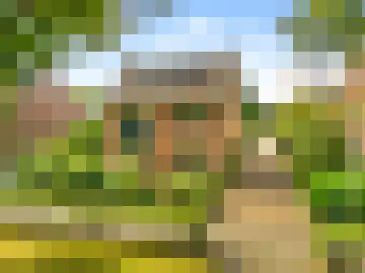 Willem de Rijkelaan 8 Castricum thumbnail 160