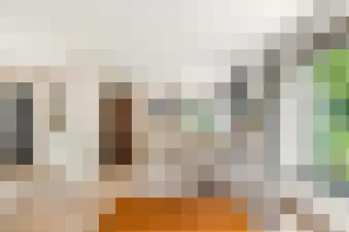 Willem de Rijkelaan 8 Castricum thumbnail 17
