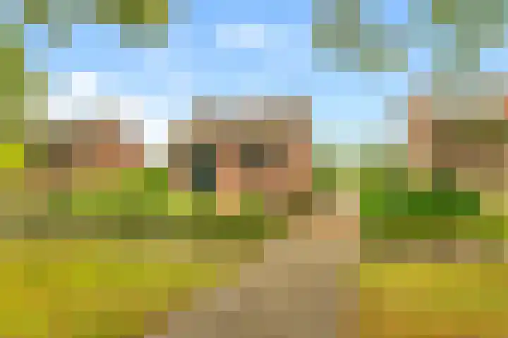 Willem de Rijkelaan 8 Castricum thumbnail 219