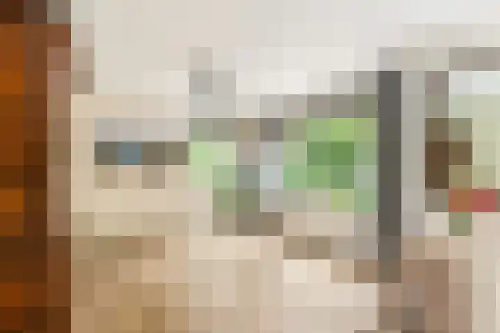 Willem de Rijkelaan 8 Castricum thumbnail 24