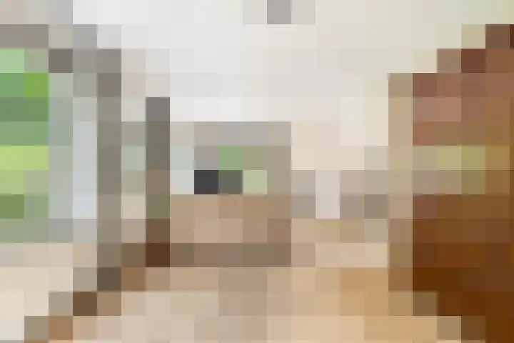 Willem de Rijkelaan 8 Castricum thumbnail 27