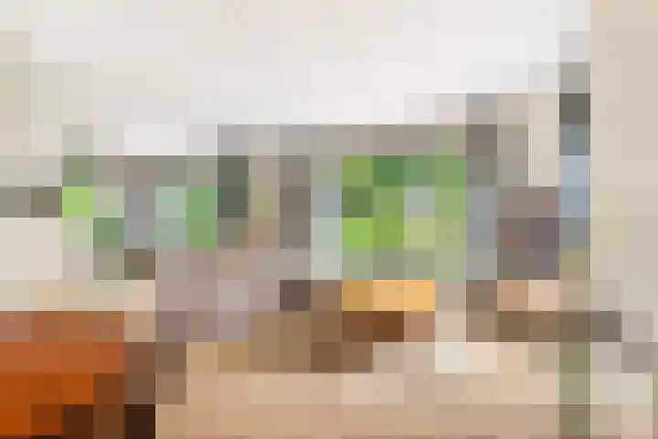 Willem de Rijkelaan 8 Castricum thumbnail 30