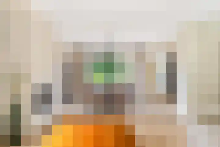 Willem de Rijkelaan 8 Castricum thumbnail 34