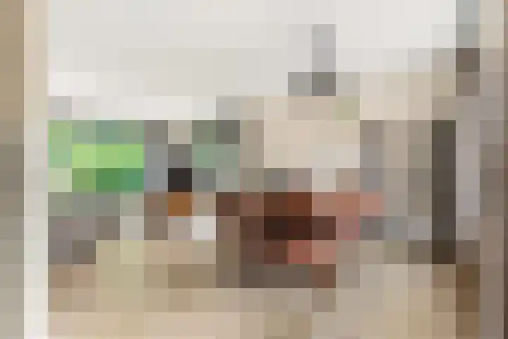 Willem de Rijkelaan 8 Castricum thumbnail 38
