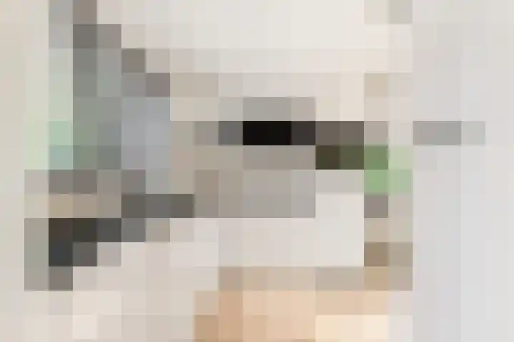 Willem de Rijkelaan 8 Castricum thumbnail 42