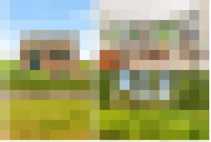 Willem de Rijkelaan 8 Castricum thumbnail 6